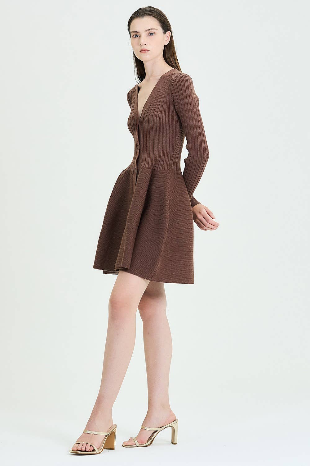 Fit & Flare Button-Up Ribbed Knit Dress: Brown