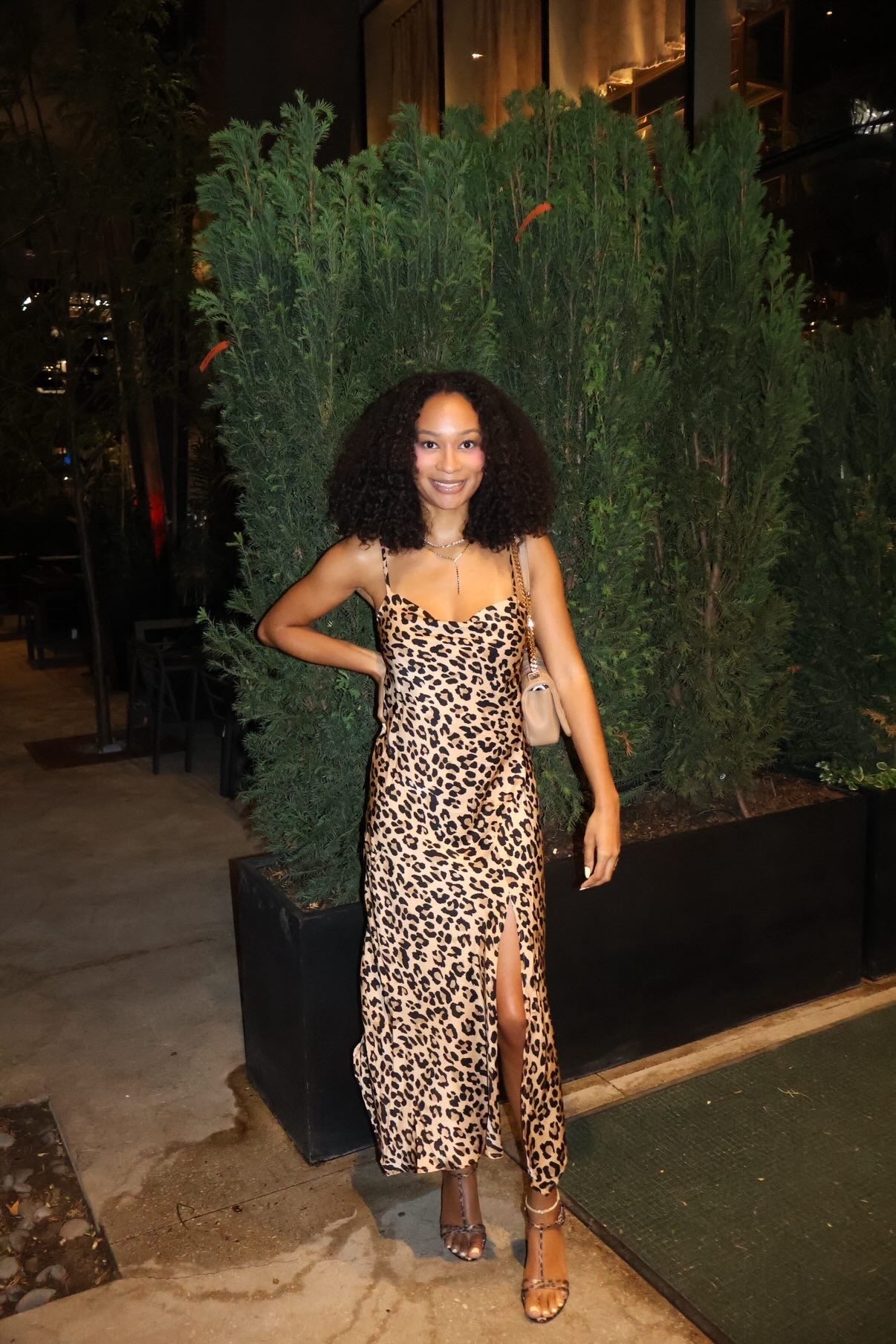 SATIN LEOPARD PRINT FRONT SLIT DRESS: Leopard