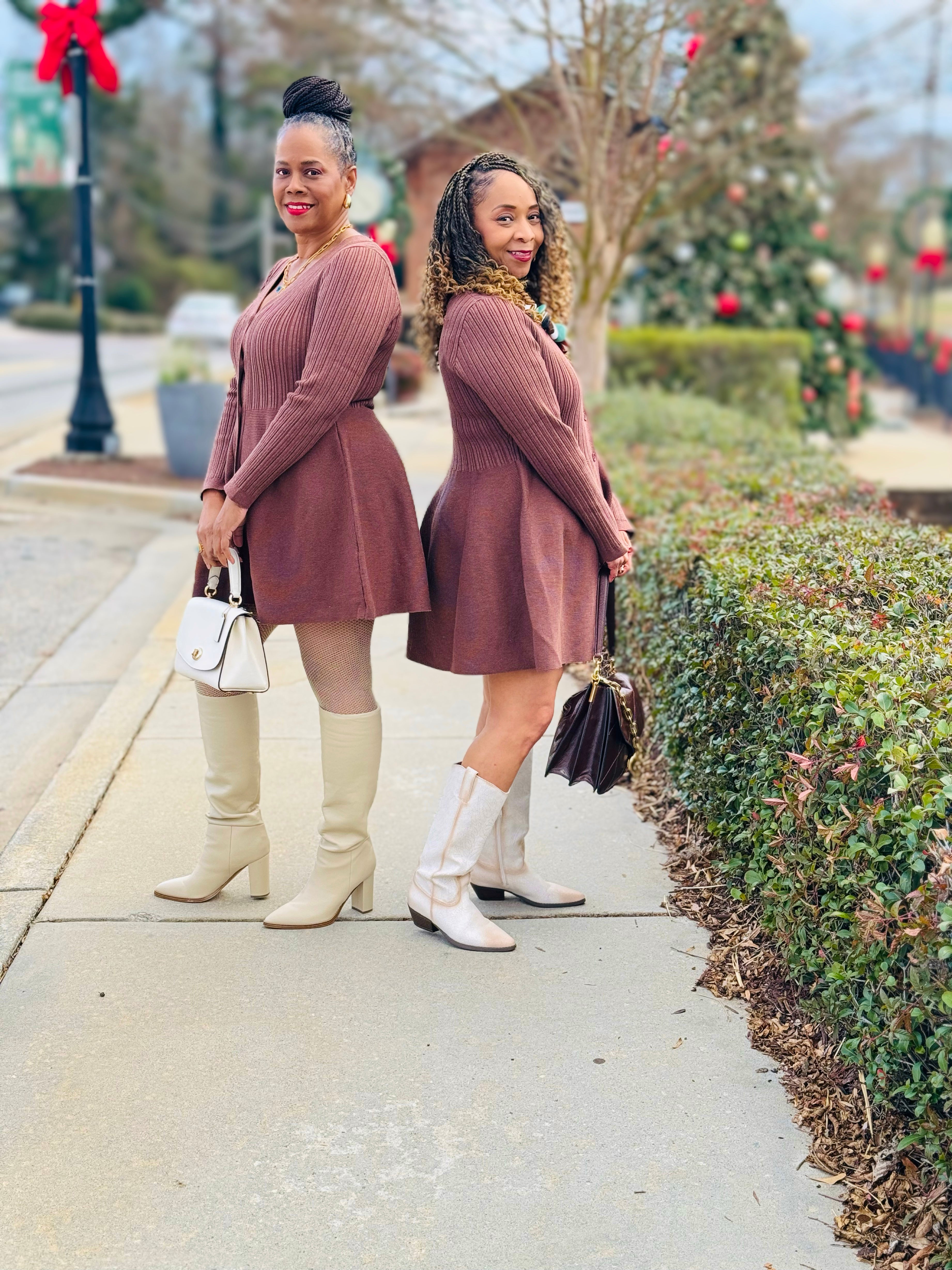 Fit & Flare Button-Up Ribbed Knit Dress: Brown