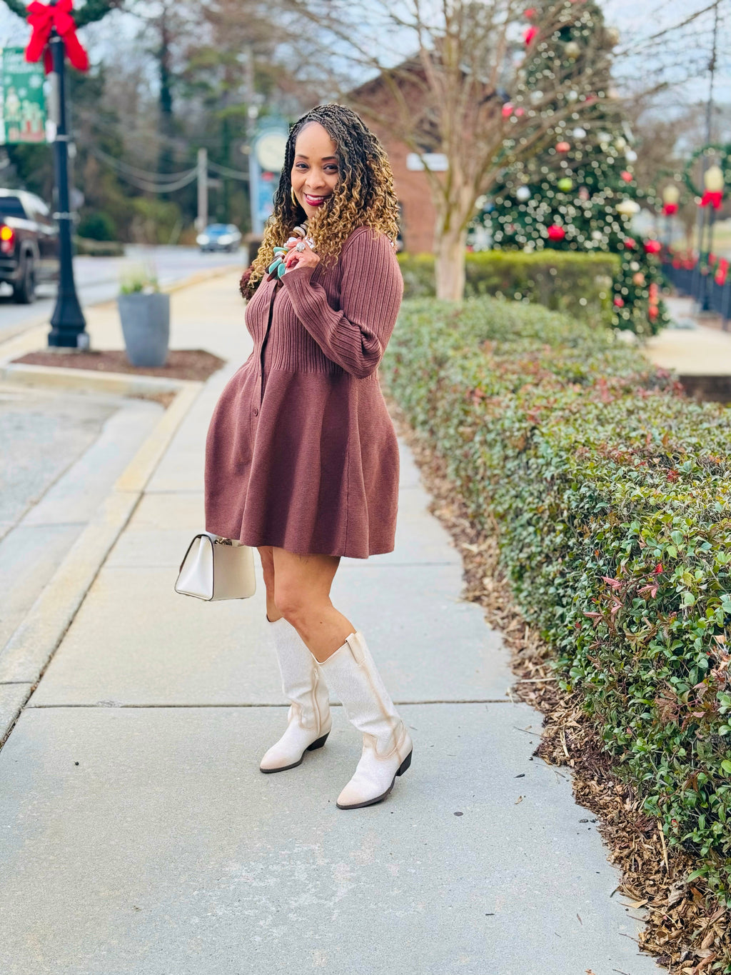 Fit & Flare Button-Up Ribbed Knit Dress: Brown