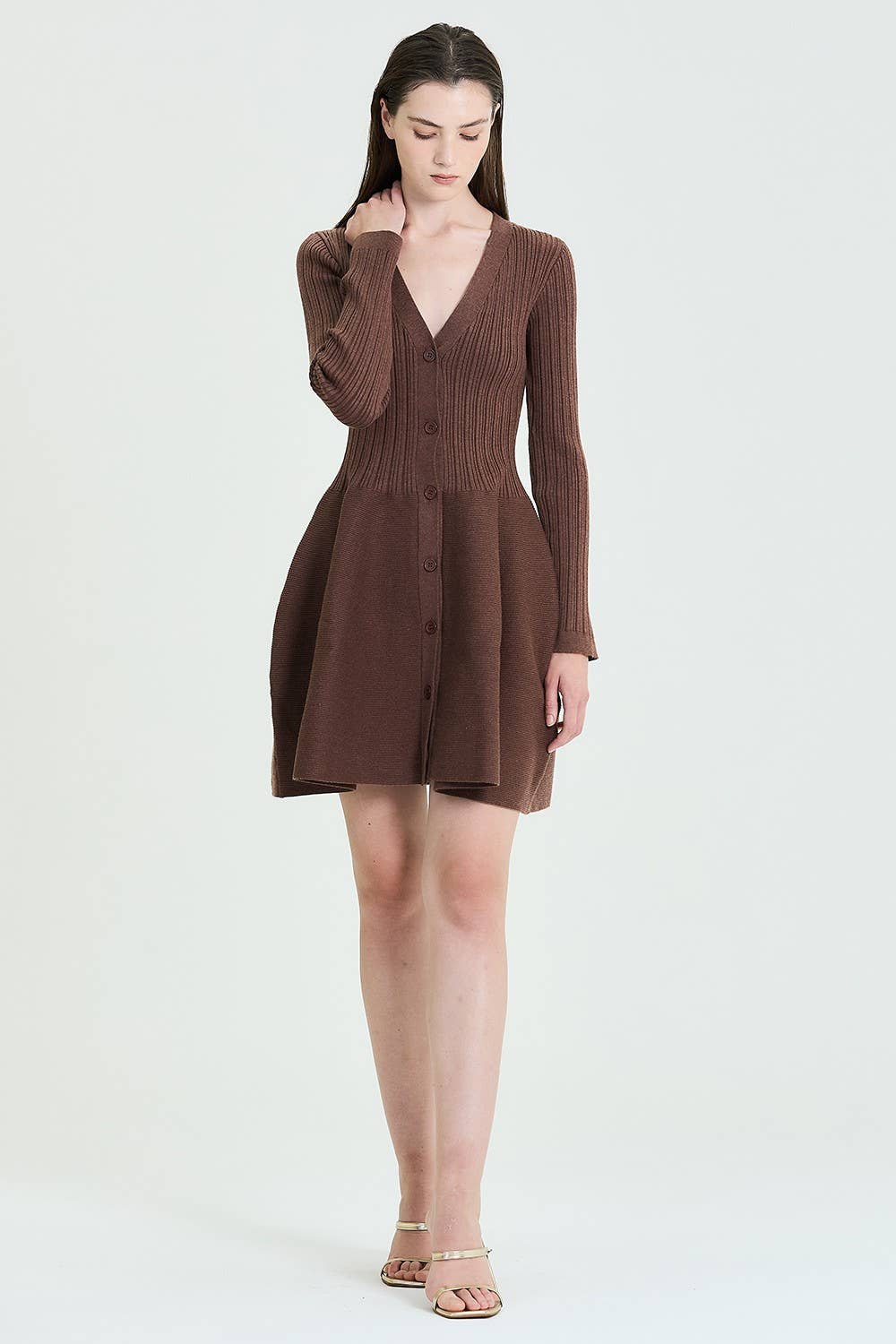 Fit & Flare Button-Up Ribbed Knit Dress: Brown